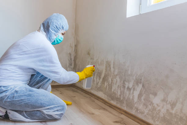 Crawl Space Mold Remediation treatment of floor joists in Pitman
